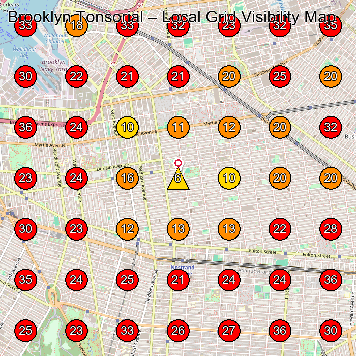 Brooklyn Tonsorial GeoGrid visibility map for Barber Shop in Brooklyn